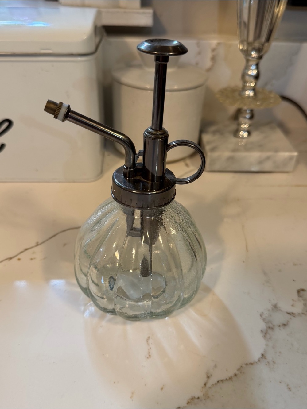 Glass Plant Mister with Antique Silver Pump